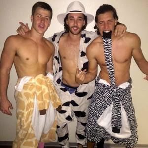 Meet your Posher, Henry